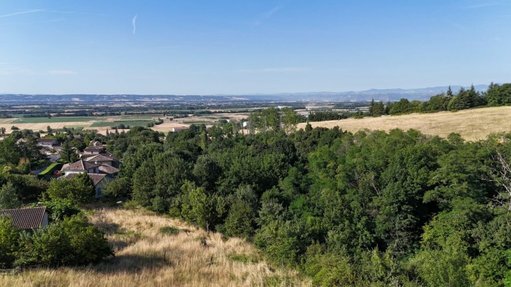 terrain à vendre Sonnay